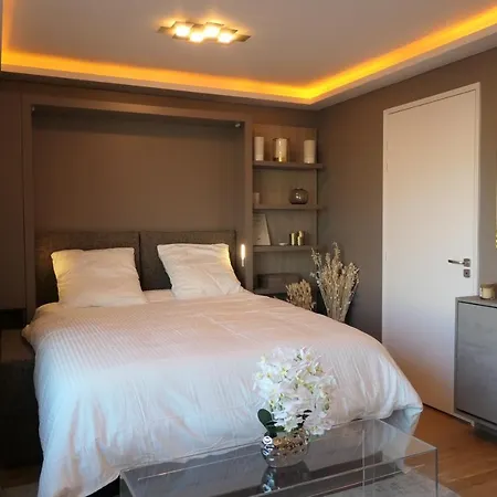 Luxury Studio Daumesnil Wifi & Netflix-2